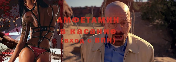 хмурый Абаза