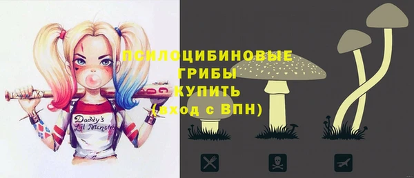 хмурый Абаза
