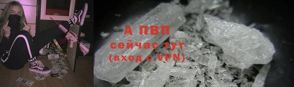 стафф Надым