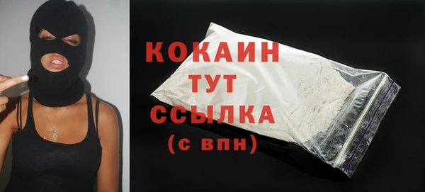 хмурый Абаза