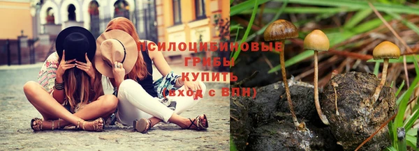 хмурый Абаза
