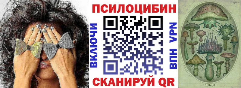 купить  цена  Ковров  Галлюциногенные грибы GOLDEN TEACHER 
