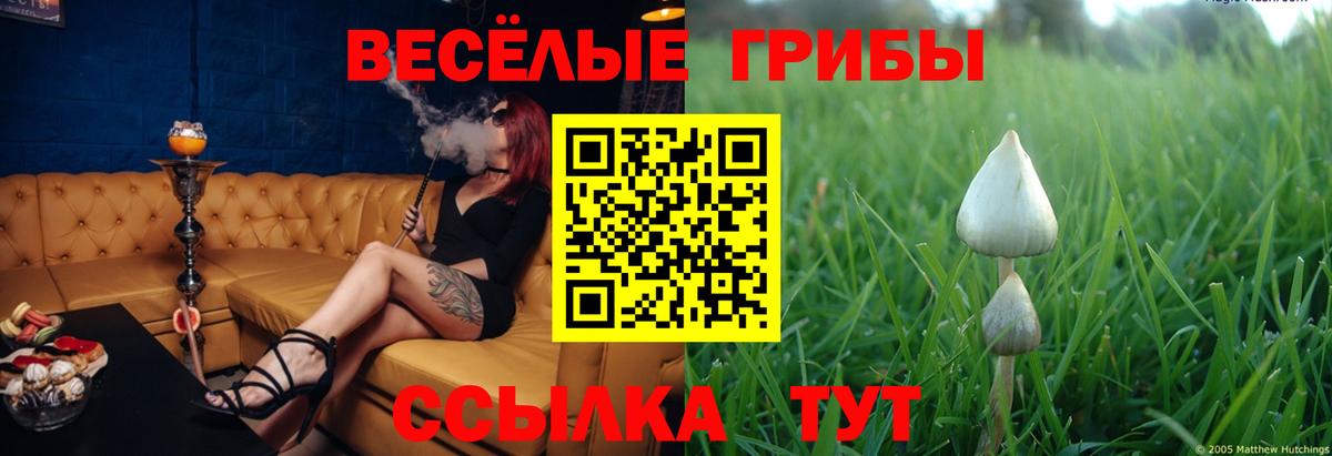Галлюциногенные грибы Cubensis  Вход с VPN  сколько стоит  Ковров 